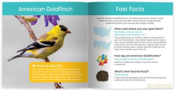 My Backyard Bird Book: Fun Facts Surpr - Cheryl Johnson [KSIĄŻKA]