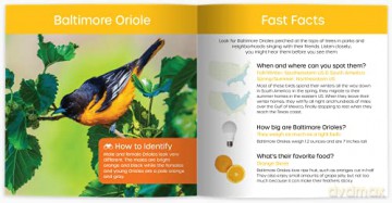 My Backyard Bird Book: Fun Facts Surpr - Cheryl Johnson [KSIĄŻKA]