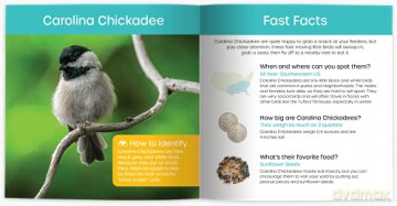 My Backyard Bird Book: Fun Facts Surpr - Cheryl Johnson [KSIĄŻKA]