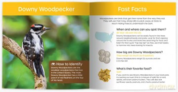 My Backyard Bird Book: Fun Facts Surpr - Cheryl Johnson [KSIĄŻKA]