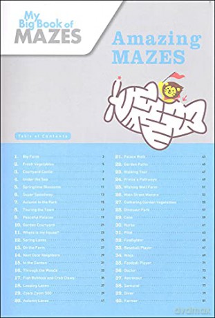 My Big Book Of Mazes [KSIĄŻKA]
