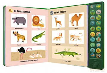 My Big Book Of Nature Sounds Sound Book - Lucie Brunelliere [KSIĄŻKA]
