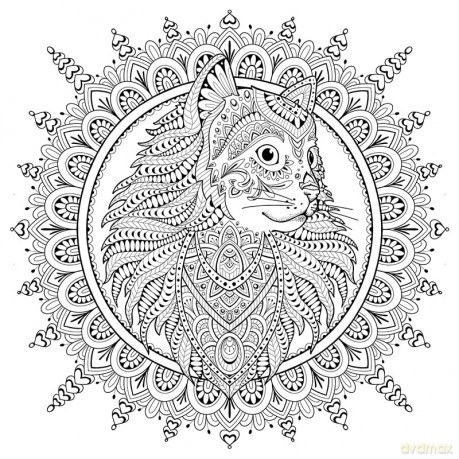 My Cat Mandala Coloring Book - Marica Zottino [KSIĄŻKA]