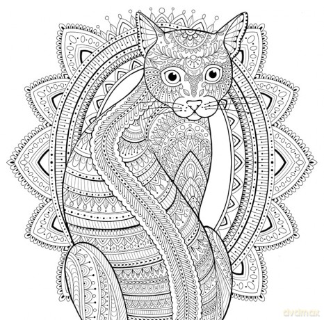 My Cat Mandala Coloring Book - Marica Zottino [KSIĄŻKA]