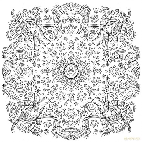 My Cat Mandala Coloring Book - Marica Zottino [KSIĄŻKA]