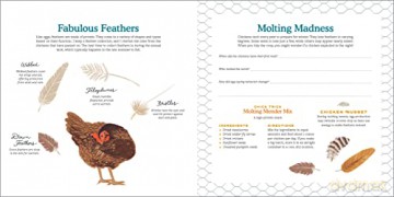 My Chicken Family - Melissa Caughey [KSIĄŻKA]
