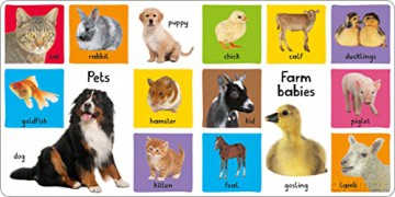 My First 100 Animals [KSIĄŻKA]