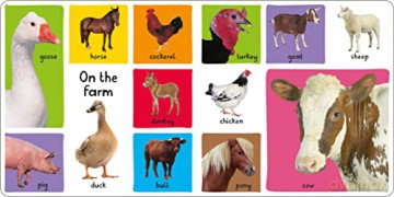 My First 100 Animals [KSIĄŻKA]