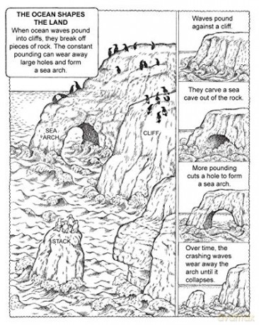 My First Book About The Oceans - Patriciaj Wynne [KSIĄŻKA]