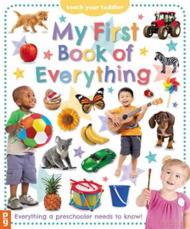 My First Book Of Everything - Chez Picthall [KSIĄŻKA]