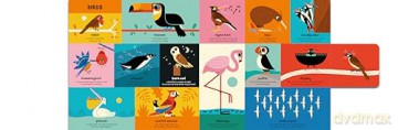 My First Book Of Everything Animals - Ben Newman [KSIĄŻKA]