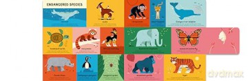 My First Book Of Everything Animals - Ben Newman [KSIĄŻKA]