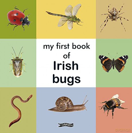 My First Book Of Irish Bugs - O'brien Press [KSIĄŻKA]