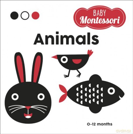 My First Books Animals - Agnese Baruzzi [KSIĄŻKA]