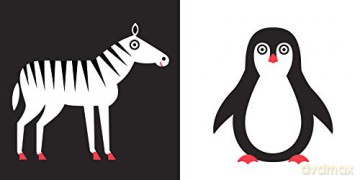 My First Books Animals - Agnese Baruzzi [KSIĄŻKA]