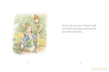 My First Peter Rabbit Collection - Beatrix Potter [KSIĄŻKA]