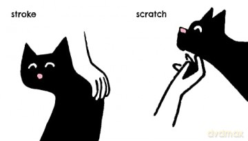 My Hands [KSIĄŻKA]