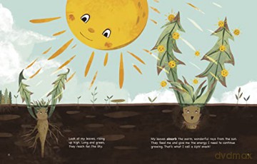 My Life As A Dandelion - John Sazaklis [KSIĄŻKA]