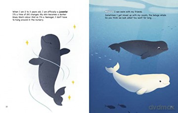 My Life As A Narwhal - John Sazaklis [KSIĄŻKA]