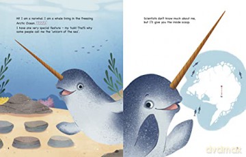 My Life As A Narwhal - John Sazaklis [KSIĄŻKA]