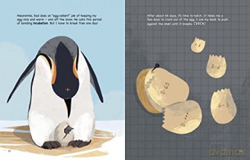 My Life As An Emperor Penguin - John Sazaklis [KSIĄŻKA]