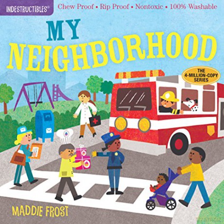 My Neighborhood - Amy Pixton [KSIĄŻKA]