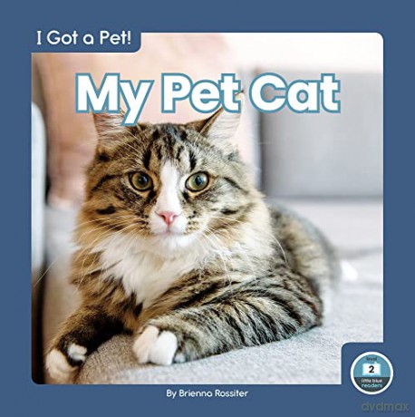 My Pet Cat - Brienna Rossiter [KSIĄŻKA]