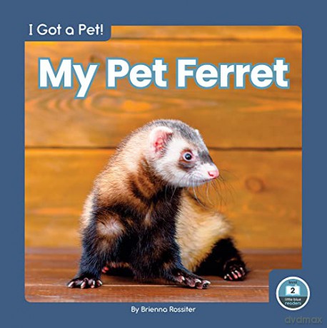 My Pet Ferret - Brienna Rossiter [KSIĄŻKA]