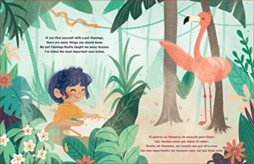 My Pet Flamingo - Mariana Galvez [KSIĄŻKA]