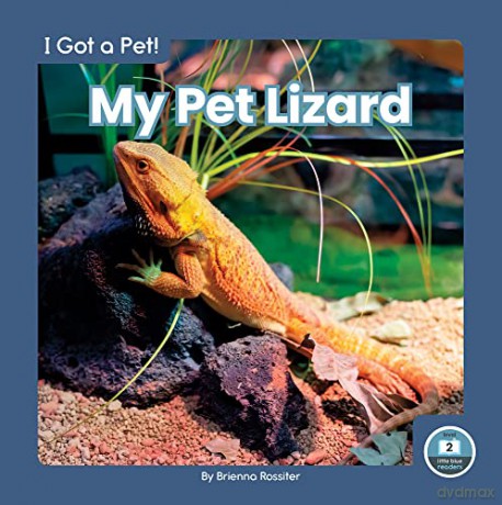 My Pet Lizard - Brienna Rossiter [KSIĄŻKA]