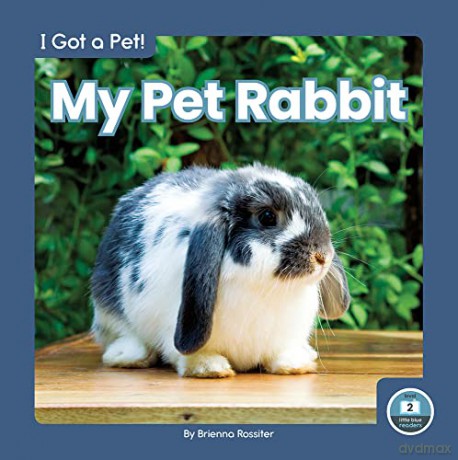 My Pet Rabbit - Brienna Rossiter [KSIĄŻKA]