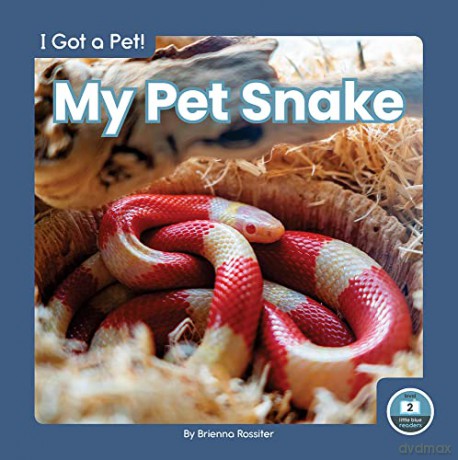 My Pet Snake - Brienna Rossiter [KSIĄŻKA]