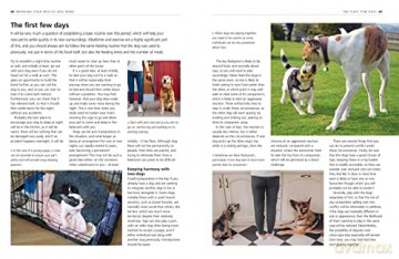 My Rescue Dog - David Alderton [KSIĄŻKA]