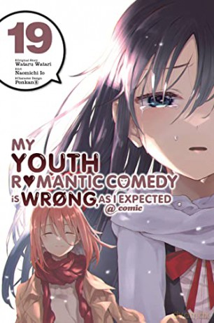 My Youth Romantic Comedy Is Wrong Vol 19 - Wataru Watari [KSIĄŻKA]