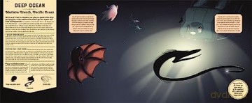 Mysteries Of The Ocean - C De La Bedoyere [KSIĄŻKA]