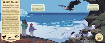 Mysteries Of The Ocean - C De La Bedoyere [KSIĄŻKA]