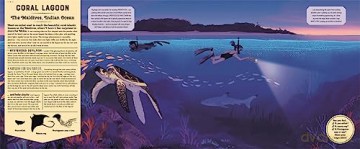 Mysteries Of The Ocean - C De La Bedoyere [KSIĄŻKA]