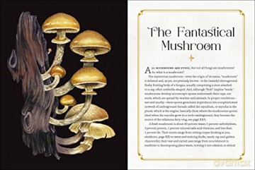 Mystical Mushrooms - Aurora Kane [KSIĄŻKA]