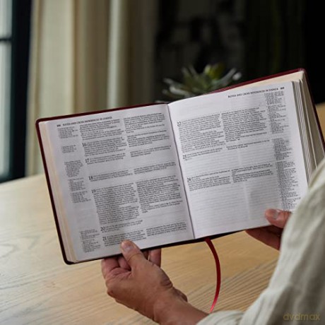 Nabre Xl Catholic Edition Leathersoft Br [KSIĄŻKA]
