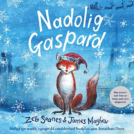 Nadolig Gaspard - Zeb Soanes [KSIĄŻKA]