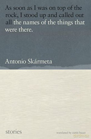 Names Of The Things That Were There The - Antonio Skarmeta [KSIĄŻKA]