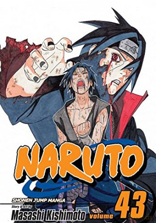 Naruto Vol 43 - Masashi Kishimoto [KSIĄŻKA]