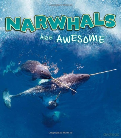 Narwhals Are Awesome - Jaycox Jaclyn [KSIĄŻKA]