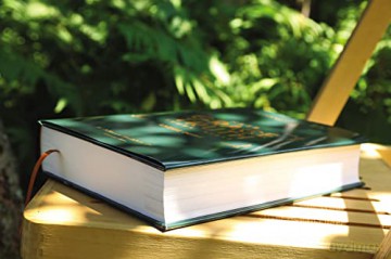 Nasb The Grace And Truth Study Bible - Mohler Jr. R. Albe [KSIĄŻKA]