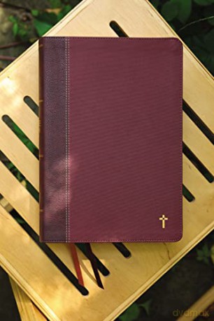 Nasb The Grace Truth Stud Hb [KSIĄŻKA]