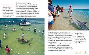 Nat Geo Reader Dolphins - Linda Nicklin [KSIĄŻKA]
