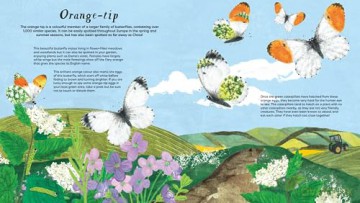 National Trust Butterfly Skies - Lauren Fairgrieve [KSIĄŻKA]