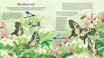 National Trust Butterfly Skies - Lauren Fairgrieve [KSIĄŻKA]