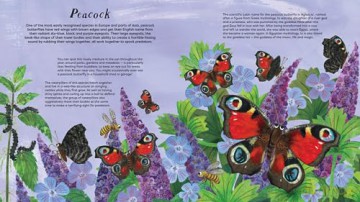 National Trust Butterfly Skies - Lauren Fairgrieve [KSIĄŻKA]