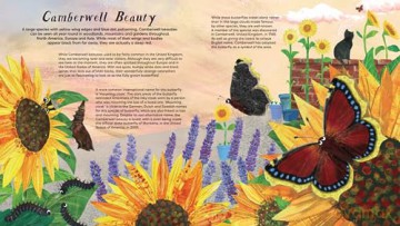 National Trust Butterfly Skies - Lauren Fairgrieve [KSIĄŻKA]